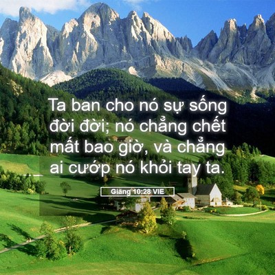 Picture 05 - Giăng 10:28 VIE - Ta ban cho nó sự sống đời đời; nó - Bible Verse Picture