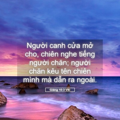 Picture 05 - Giăng 10:3 VIE - Người canh cửa mở cho, chiên nghe tiếng - Bible Verse Picture
