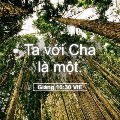 Picture 05 - Giăng 10:30 VIE - Ta với Cha là - Bible Verse Picture