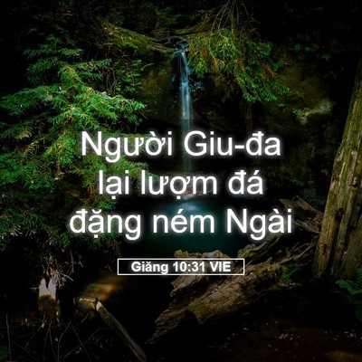 Picture 05 - Giăng 10:31 VIE - Người Giu-đa lại lượm đá đặng ném - Bible Verse Picture