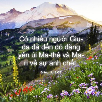 Picture 05 - Giăng 11:19 VIE - Có nhiều người Giu-đa đã đến đó - Bible Verse Picture