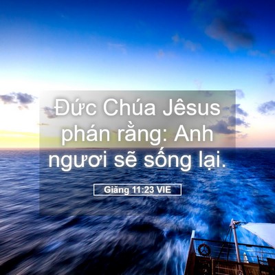 Picture 05 - Giăng 11:23 VIE - Đức Chúa Jêsus phán rằng: Anh ngươi - Bible Verse Picture