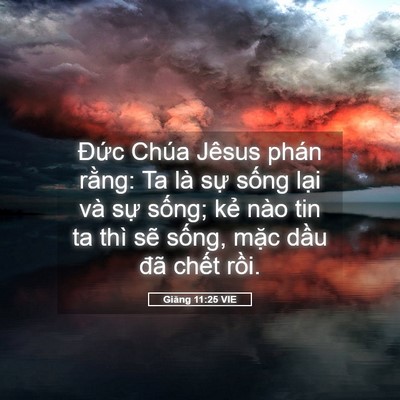 Picture 05 - Giăng 11:25 VIE - Đức Chúa Jêsus phán rằng: Ta là sự - Bible Verse Picture