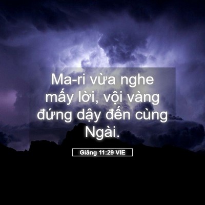 Picture 05 - Giăng 11:29 VIE - Ma-ri vừa nghe mấy lời, vội vàng đứng - Bible Verse Picture