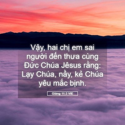 Picture 05 - Giăng 11:3 VIE - Vậy, hai chị em sai người đến thưa - Bible Verse Picture