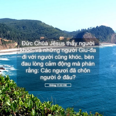 Picture 05 - Giăng 11:33 VIE - Đức Chúa Jêsus thấy người khóc, và - Bible Verse Picture