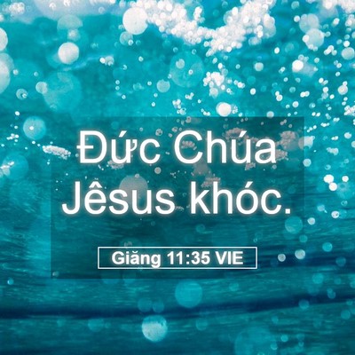 Picture 05 - Giăng 11:35 VIE - Đức Chúa Jêsus - Bible Verse Picture