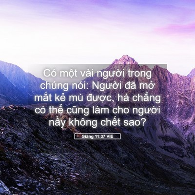 Picture 05 - Giăng 11:37 VIE - Có một vài người trong chúng nói: - Bible Verse Picture