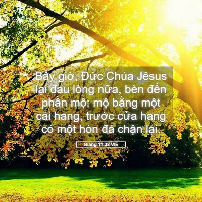 Picture 05 - Giăng 11:38 VIE - Bấy giờ, Đức Chúa Jêsus lại đau lòng - Bible Verse Picture