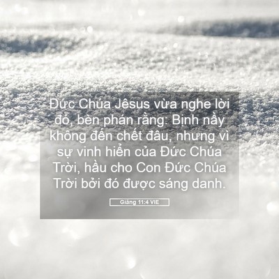 Picture 05 - Giăng 11:4 VIE - Đức Chúa Jêsus vừa nghe lời đó, bèn - Bible Verse Picture