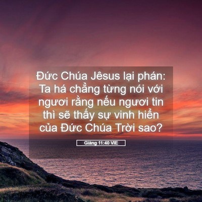 Picture 05 - Giăng 11:40 VIE - Đức Chúa Jêsus lại phán: Ta há chẳng - Bible Verse Picture