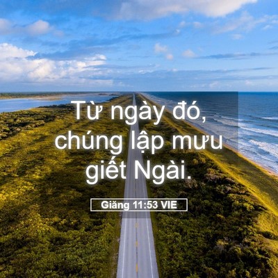 Picture 05 - Giăng 11:53 VIE - Từ ngày đó, chúng lập mưu giết - Bible Verse Picture