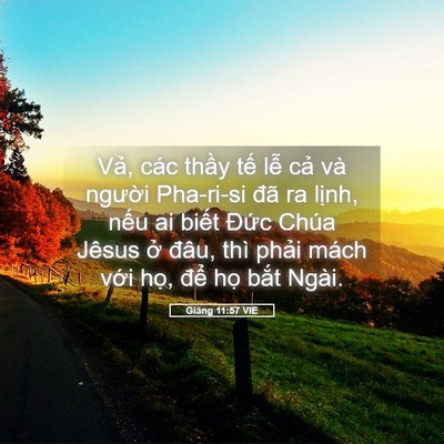 Picture 05 - Giăng 11:57 VIE - Vả, các thầy tế lễ cả và người - Bible Verse Picture