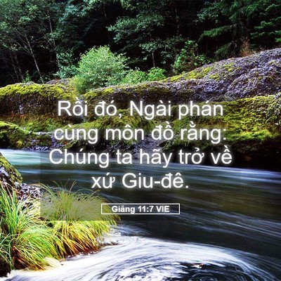 Picture 05 - Giăng 11:7 VIE - Rồi đó, Ngài phán cùng môn đồ rằng: - Bible Verse Picture