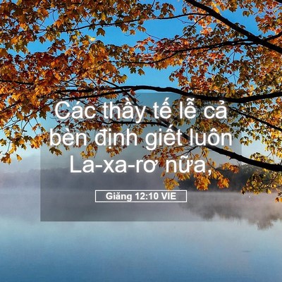 Picture 05 - Giăng 12:10 VIE - Các thầy tế lễ cả bèn định giết - Bible Verse Picture