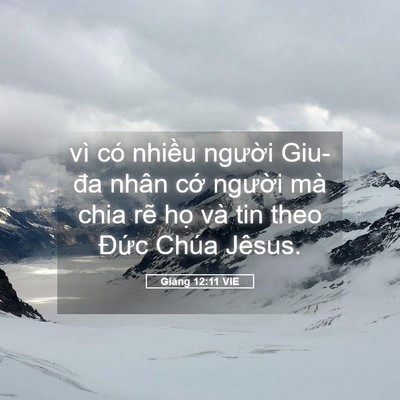 Picture 05 - Giăng 12:11 VIE - vì có nhiều người Giu-đa nhân cớ - Bible Verse Picture