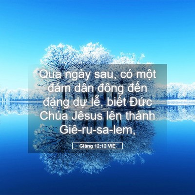 Picture 05 - Giăng 12:12 VIE - Qua ngày sau, có một đám dân đông đến - Bible Verse Picture
