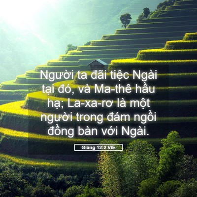 Picture 05 - Giăng 12:2 VIE - Người ta đãi tiệc Ngài tại đó, và - Bible Verse Picture