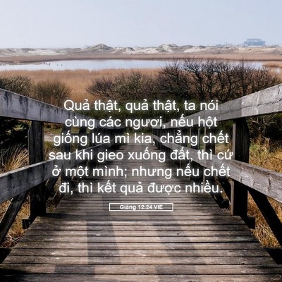 Picture 05 - Giăng 12:24 VIE - Quả thật, quả thật, ta nói cùng các - Bible Verse Picture