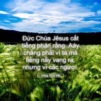 Picture 05 - Giăng 12:30 VIE - Đức Chúa Jêsus cất tiếng phán rằng: - Bible Verse Picture
