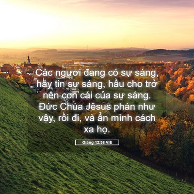 Picture 05 - Giăng 12:36 VIE - Các ngươi đang có sự sáng, hãy tin sự - Bible Verse Picture