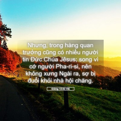 Picture 05 - Giăng 12:42 VIE - Nhưng, trong hàng quan trưởng cũng có - Bible Verse Picture