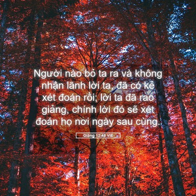 Picture 05 - Giăng 12:48 VIE - Người nào bỏ ta ra và không nhận lãnh - Bible Verse Picture