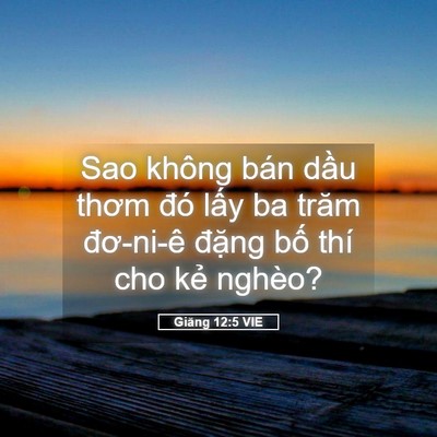 Picture 05 - Giăng 12:5 VIE - Sao không bán dầu thơm đó lấy ba trăm - Bible Verse Picture