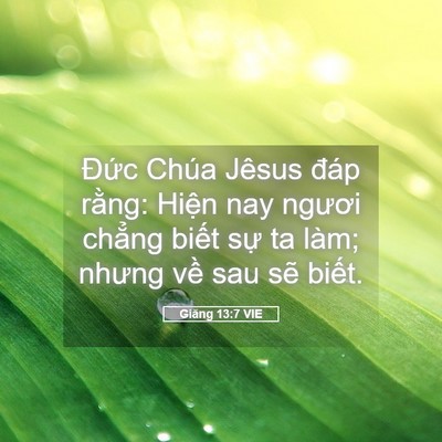 Picture 05 - Giăng 13:7 VIE - Đức Chúa Jêsus đáp rằng: Hiện nay - Bible Verse Picture