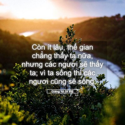 Picture 05 - Giăng 14:19 VIE - Còn ít lâu, thế gian chẳng thấy ta - Bible Verse Picture
