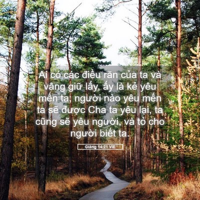 Picture 05 - Giăng 14:21 VIE - Ai có các điều răn của ta và vâng giữ - Bible Verse Picture
