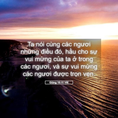 Picture 05 - Giăng 15:11 VIE - Ta nói cùng các ngươi những điều đó, - Bible Verse Picture