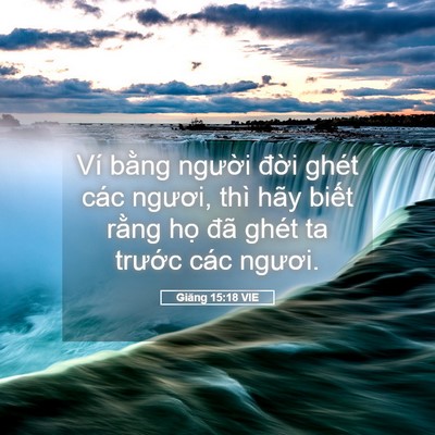 Picture 05 - Giăng 15:18 VIE - Ví bằng người đời ghét các ngươi, - Bible Verse Picture