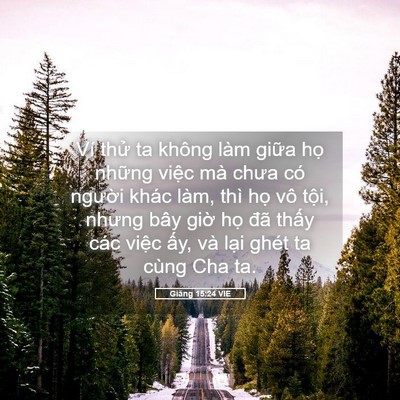 Picture 05 - Giăng 15:24 VIE - Ví thử ta không làm giữa họ những - Bible Verse Picture