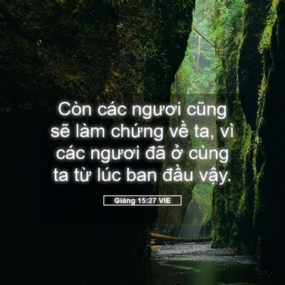 Picture 05 - Giăng 15:27 VIE - Còn các ngươi cũng sẽ làm chứng về - Bible Verse Picture
