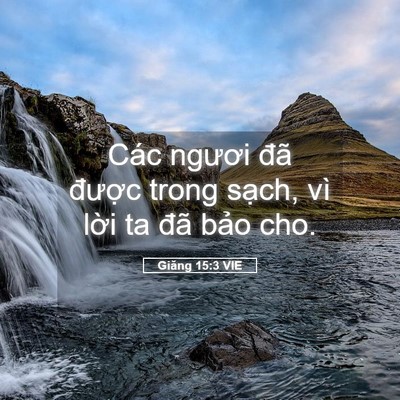 Picture 05 - Giăng 15:3 VIE - Các ngươi đã được trong sạch, vì - Bible Verse Picture