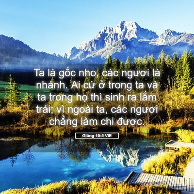 Picture 05 - Giăng 15:5 VIE - Ta là gốc nho, các ngươi là nhánh. Ai - Bible Verse Picture