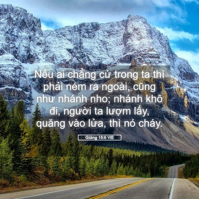 Picture 05 - Giăng 15:6 VIE - Nếu ai chẳng cứ trong ta thì phải ném - Bible Verse Picture