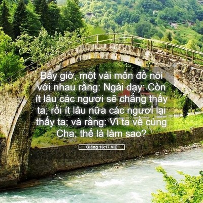 Picture 05 - Giăng 16:17 VIE - Bấy giờ, một vài môn đồ nói với - Bible Verse Picture