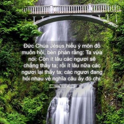 Picture 05 - Giăng 16:19 VIE - Đức Chúa Jêsus hiểu ý môn đồ muốn - Bible Verse Picture