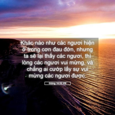 Picture 05 - Giăng 16:22 VIE - Khác nào như các ngươi hiện ở trong - Bible Verse Picture