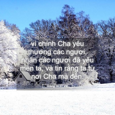 Picture 05 - Giăng 16:27 VIE - vì chính Cha yêu thương các ngươi, nhân - Bible Verse Picture