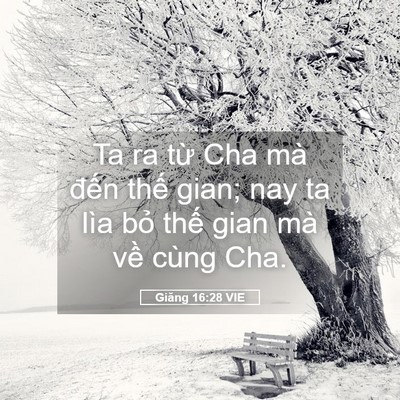 Picture 05 - Giăng 16:28 VIE - Ta ra từ Cha mà đến thế gian; nay ta lìa - Bible Verse Picture