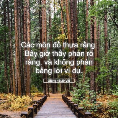 Picture 05 - Giăng 16:29 VIE - Các môn đồ thưa rằng: Bây giờ thầy - Bible Verse Picture