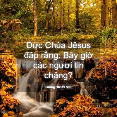 Picture 05 - Giăng 16:31 VIE - Đức Chúa Jêsus đáp rằng: Bây giờ các - Bible Verse Picture
