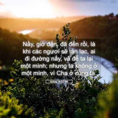 Picture 05 - Giăng 16:32 VIE - Nầy, giờ đến, đã đến rồi, là khi - Bible Verse Picture