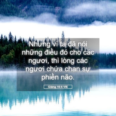 Picture 05 - Giăng 16:6 VIE - Nhưng vì ta đã nói những điều đó cho - Bible Verse Picture