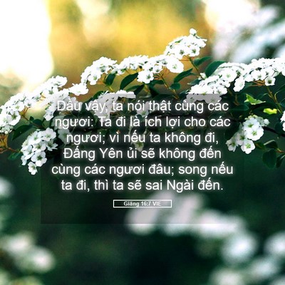 Picture 05 - Giăng 16:7 VIE - Dầu vậy, ta nói thật cùng các ngươi: - Bible Verse Picture