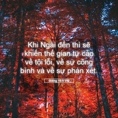 Picture 05 - Giăng 16:8 VIE - Khi Ngài đến thì sẽ khiến thế gian - Bible Verse Picture
