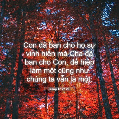 Picture 05 - Giăng 17:22 VIE - Con đã ban cho họ sự vinh hiển mà Cha - Bible Verse Picture